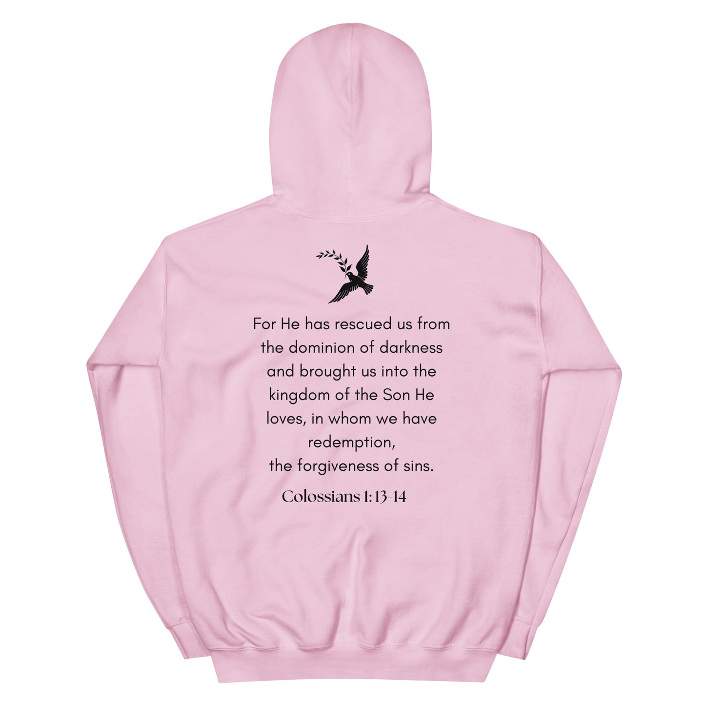 Colossians Unisex Hoodie 8 colors available