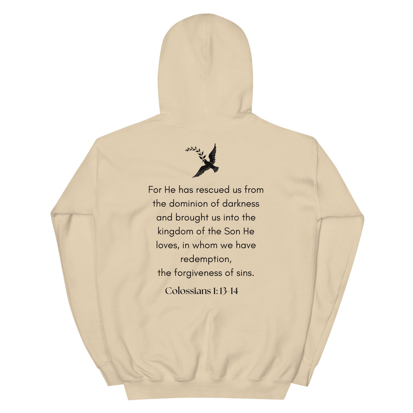 Colossians Unisex Hoodie 8 colors available